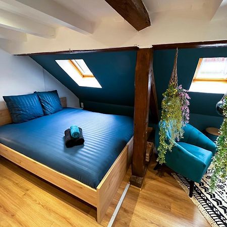 Au Duplex De Jeannala Apartment Selestat Ngoại thất bức ảnh