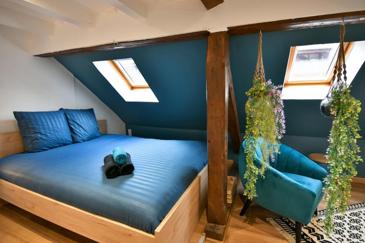 Au Duplex De Jeannala Apartment Selestat Ngoại thất bức ảnh
